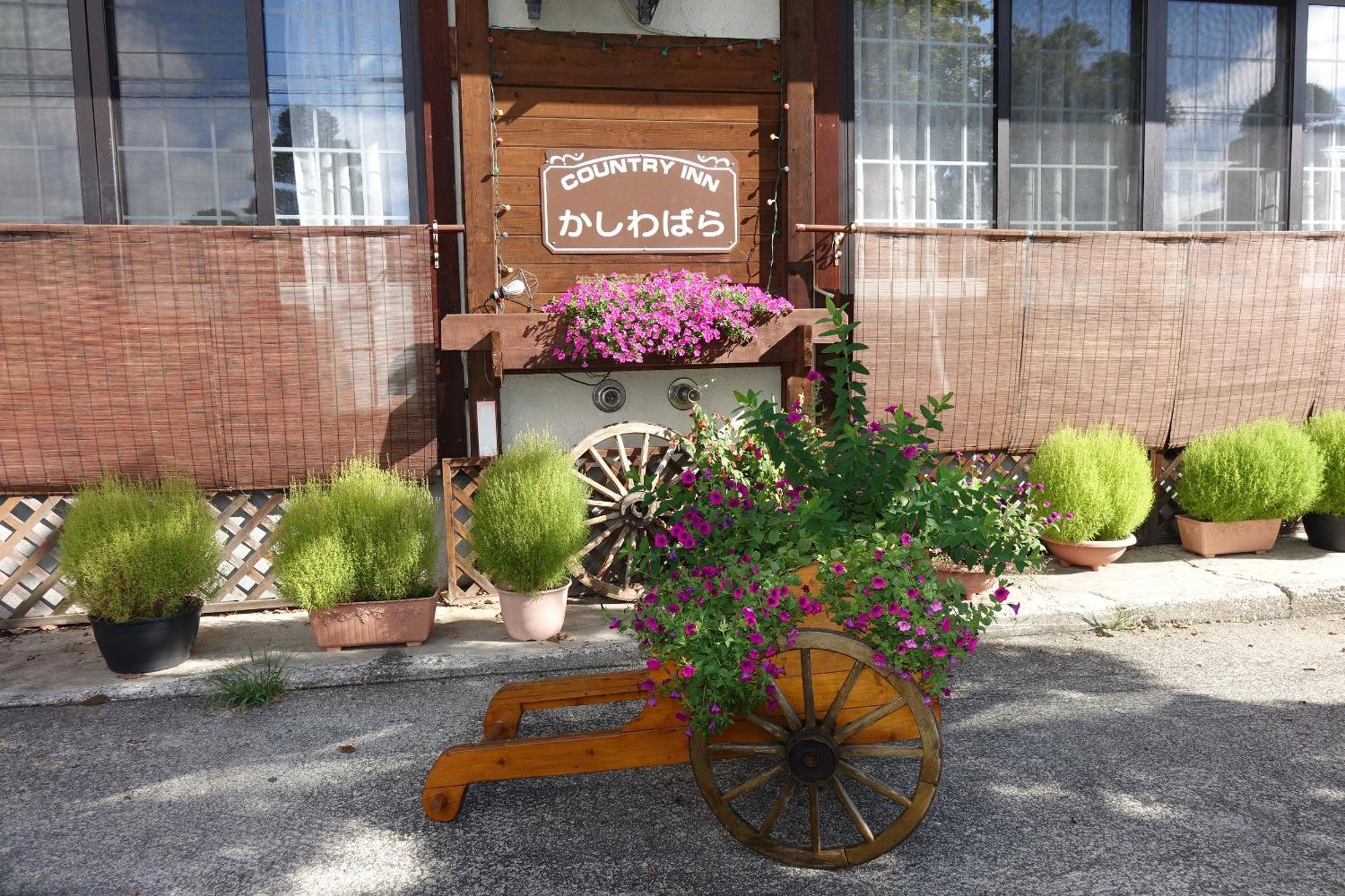 Country Inn Kashiwabara Hakuba Exterior foto